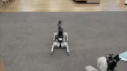 Quadrupedal Robot