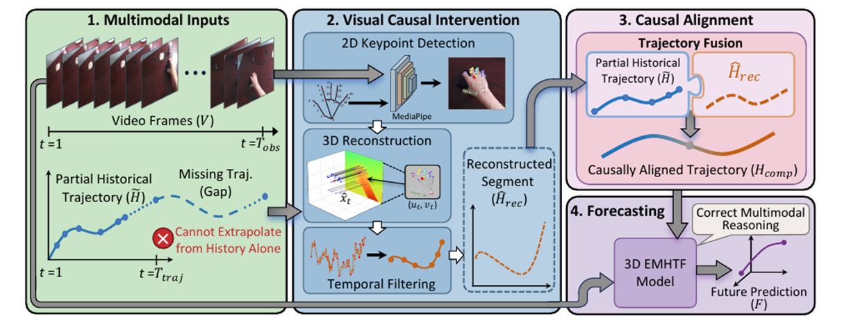 Visual Causal Intervention for 3D Egocentric Multimodal Hand Trajectory Forecasting
